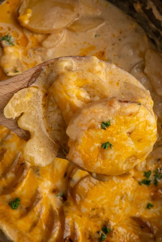 Close up of cheesy scalloped potatoes on a wooden spoon over a crock pot.