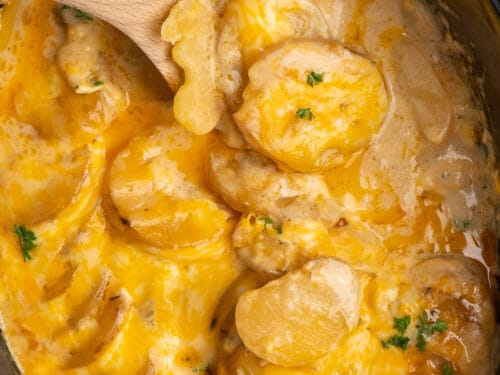 Slow Cooker Scalloped Potatoes with Creamy Cheese Garlic Sauce - An Oregon  Cottage