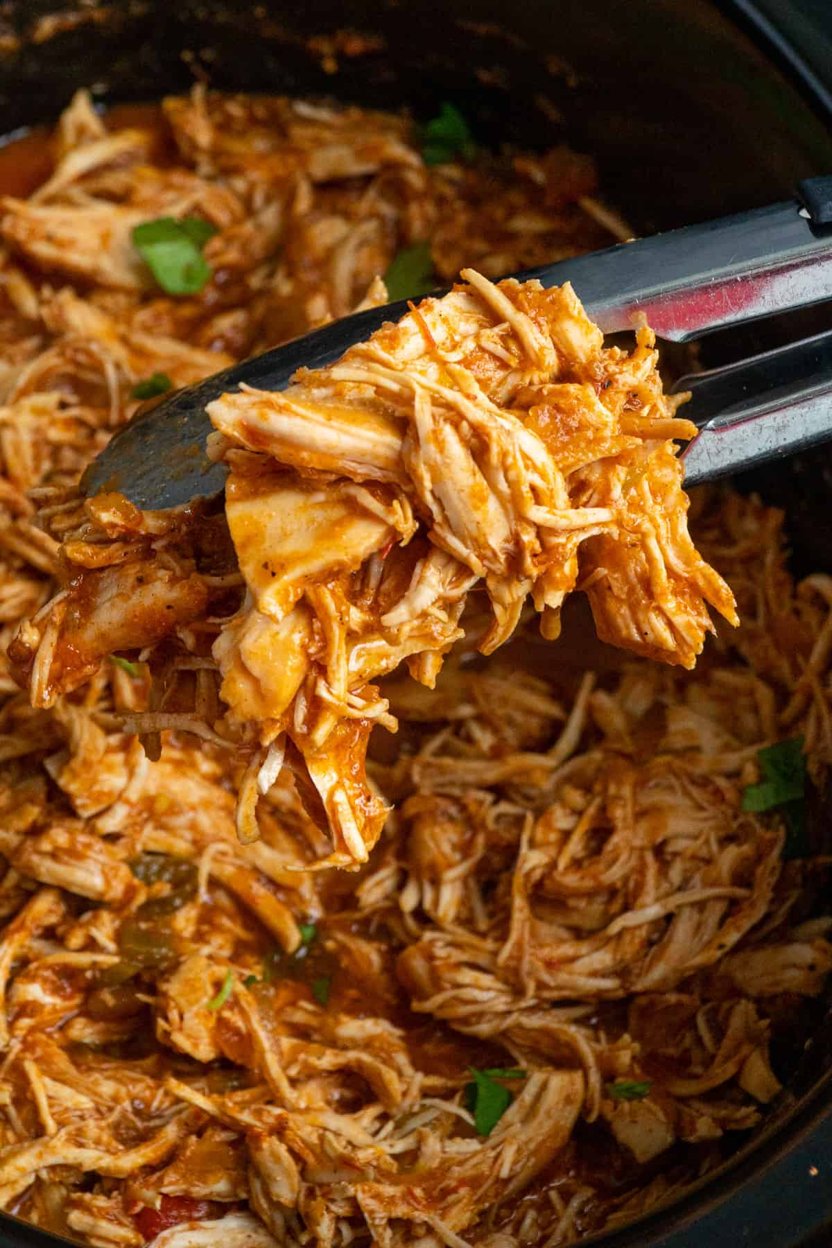 Shredded chicken being held by some tongs over more chicken in a crock pot.