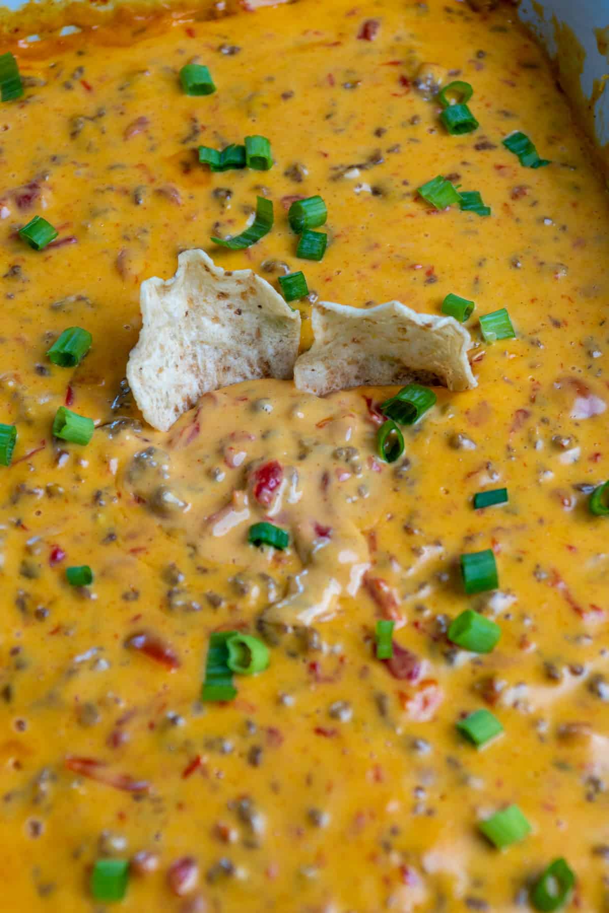 Close up of two tortilla chips in Crock Pot rotel dip and topped with green onions.