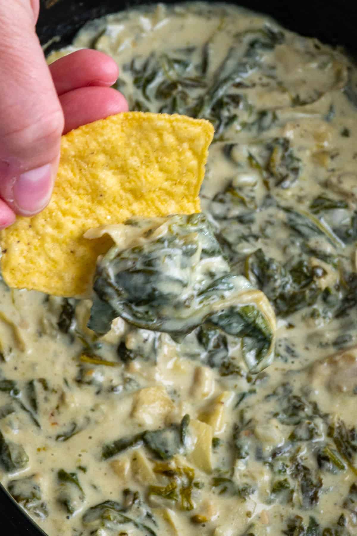 Close up of artichoke dip on a chip over a slow cooker.
