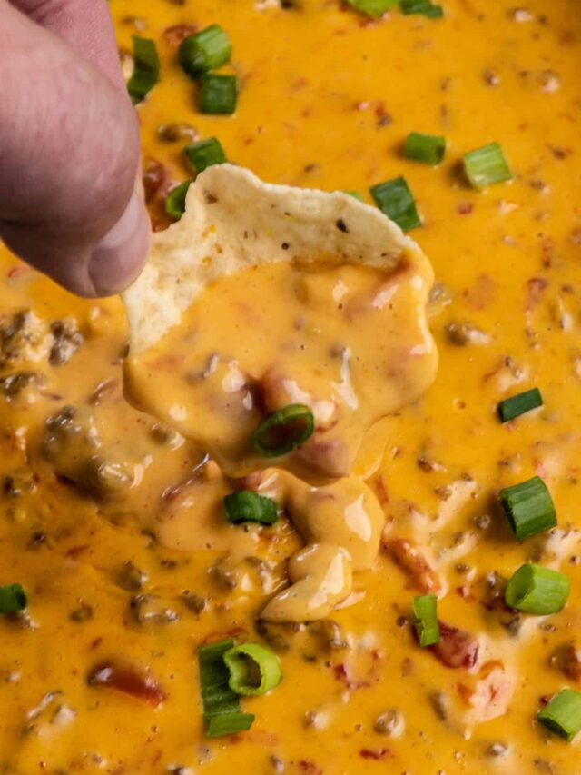 Crock Pot Rotel Dip Recipe Slow Cooker Meals