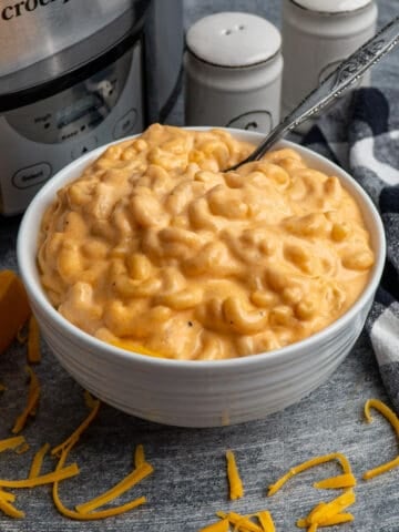 Close up of creamy crock pot mac and cheese in a white bowl with a fork in it.