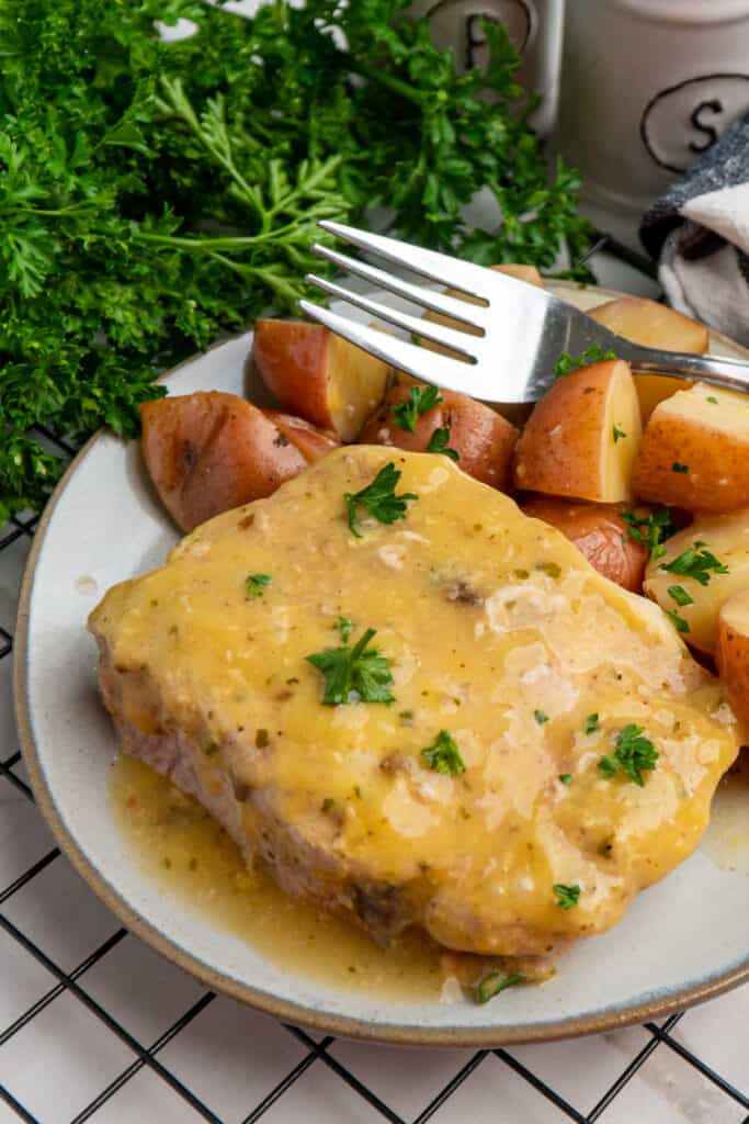 homestyle-ranch-packet-chicken-bake-recipe-instacart