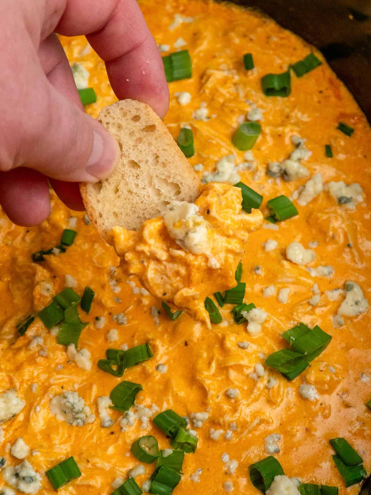 A hand dipping a sliced baguette into the buffalo chicken dip.