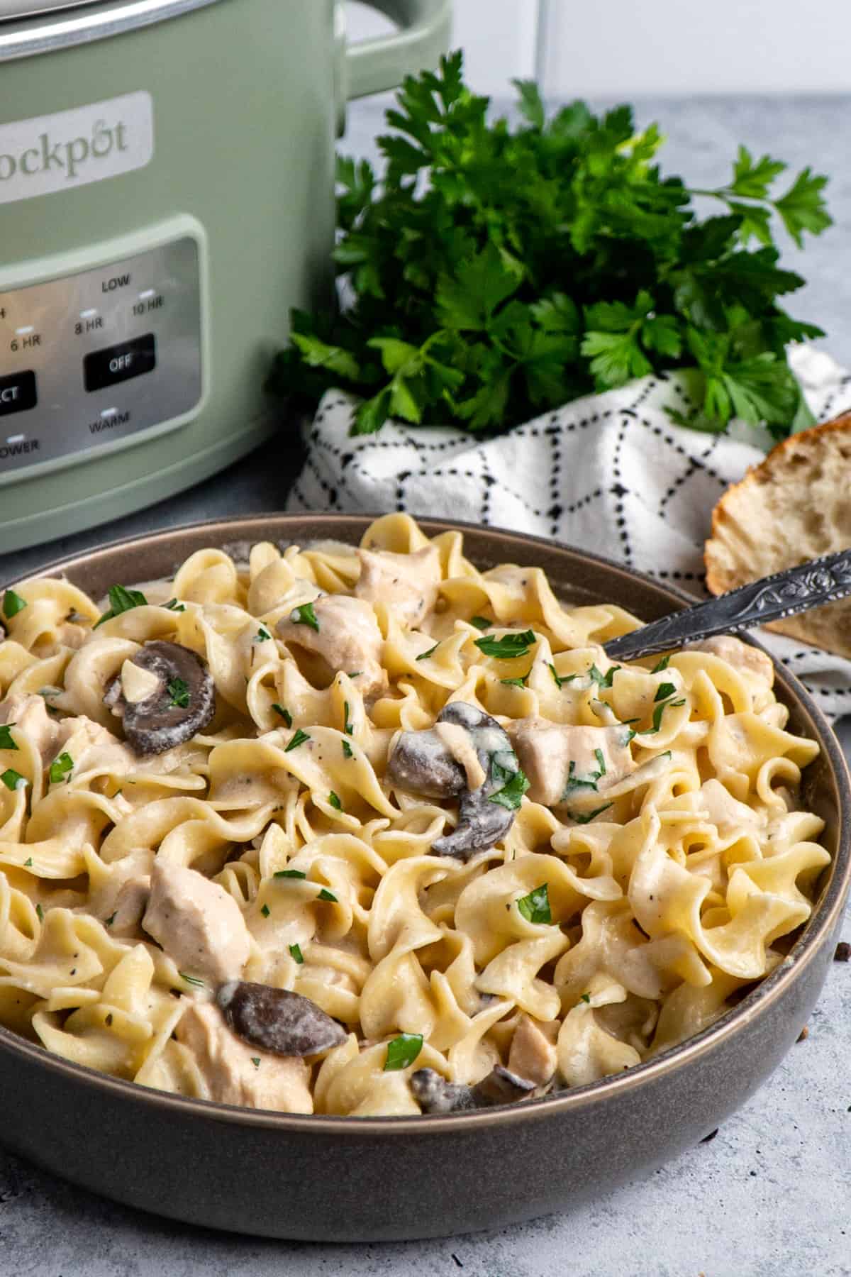 Chicken stroganoff in a gray bowl with a crock pot and parsley in the background.