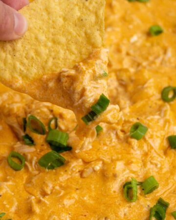 Close up of a tortilla chip being dipped in to Crock Pot buffalo chicken dip.