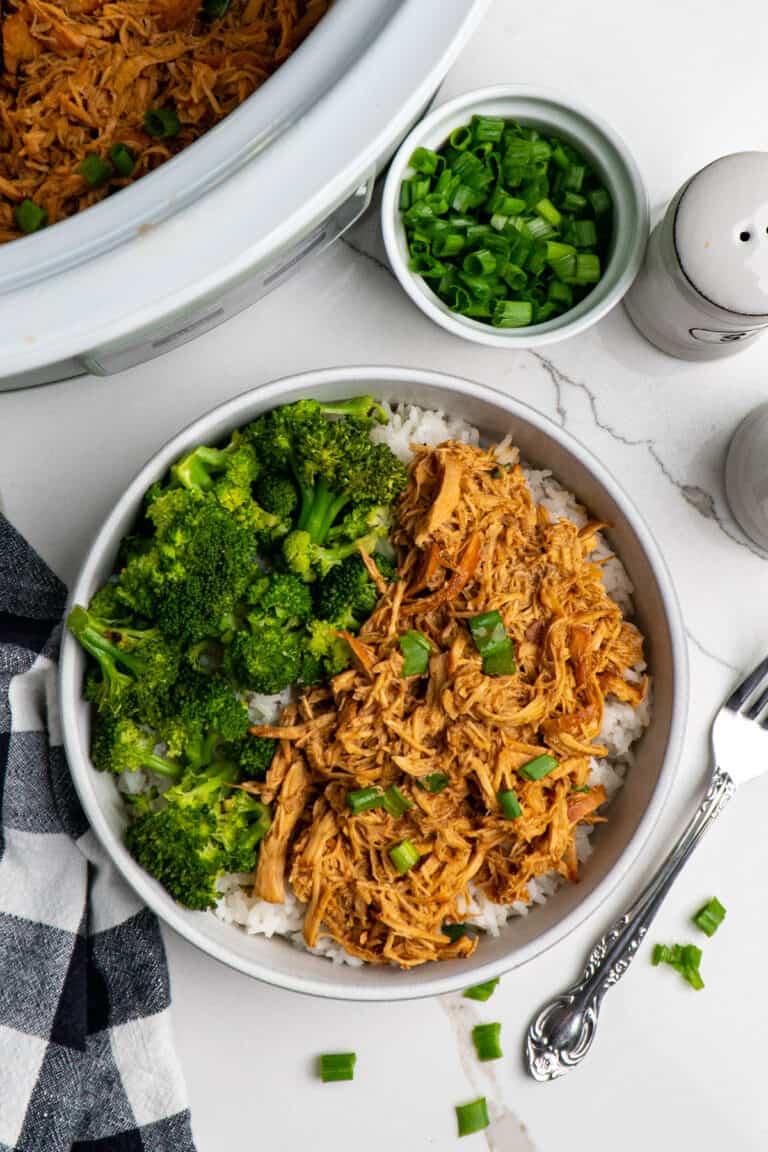 Slow Cooker Honey Garlic Chicken - Slow Cooker Meals