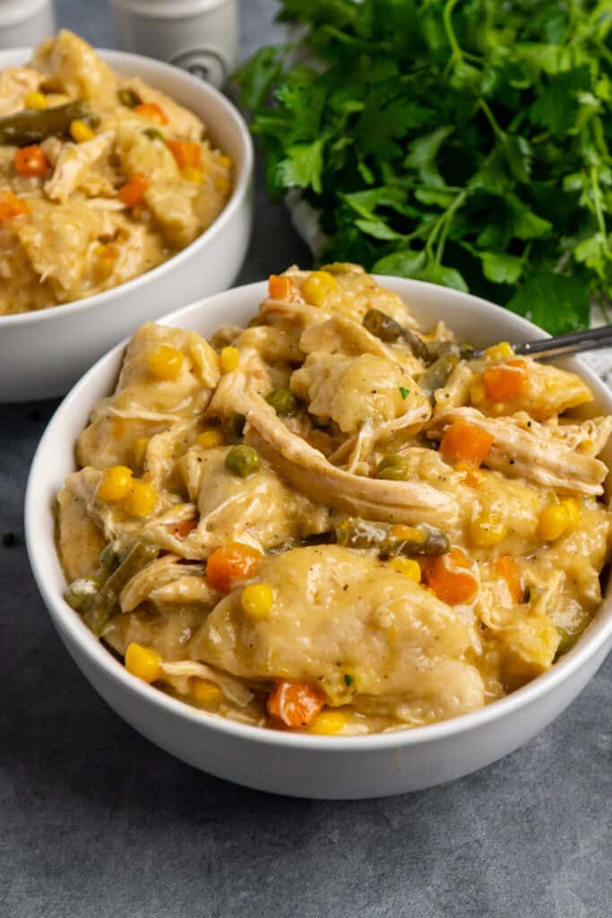 Crock Pot Chicken and Dumplings