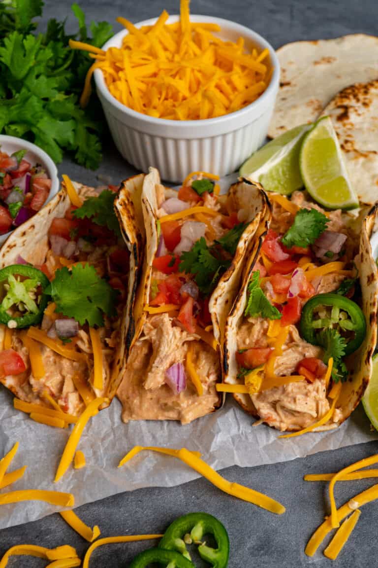 Crock Pot Salsa Chicken