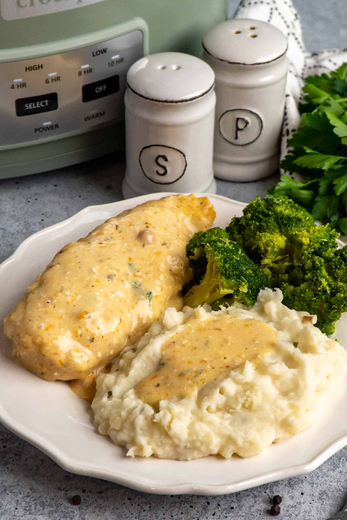 Slow cooker chicken with sauce on a white plate.