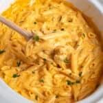 A wooden spoon holding crock pot buffalo chicken pasta.