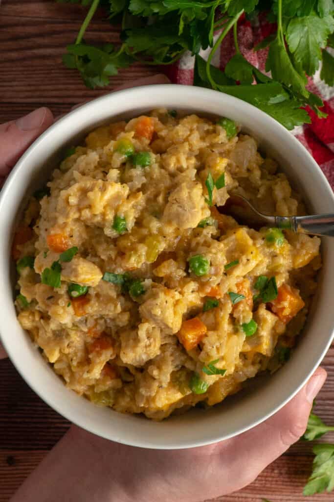 Crock Pot Chicken and Rice Slow Cooker Meals