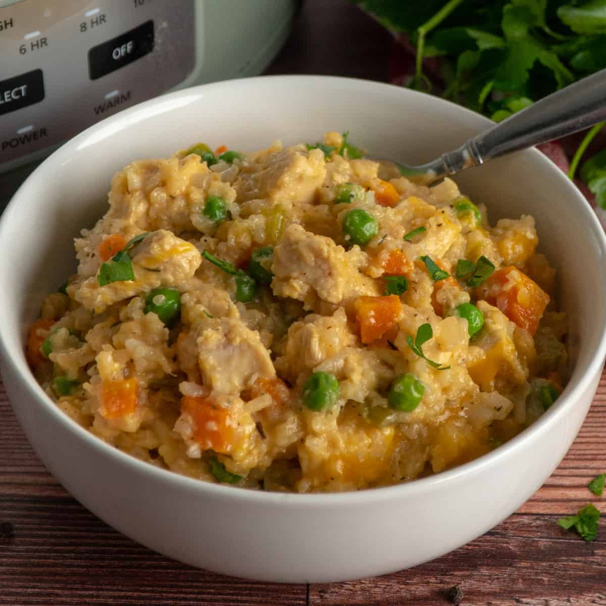Crock Pot chicken and rice in a white bowl.