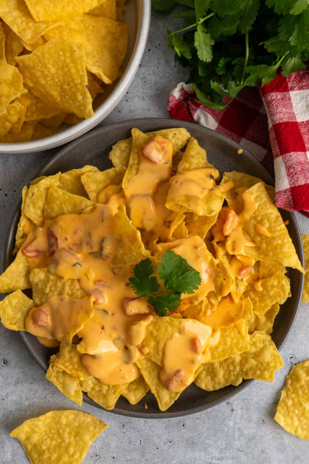 Crock Pot Velveeta Cheese Dip - Slow Cooker Meals