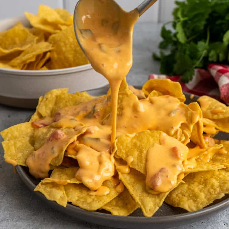 Crock Pot Velveeta Cheese Dip - Slow Cooker Meals