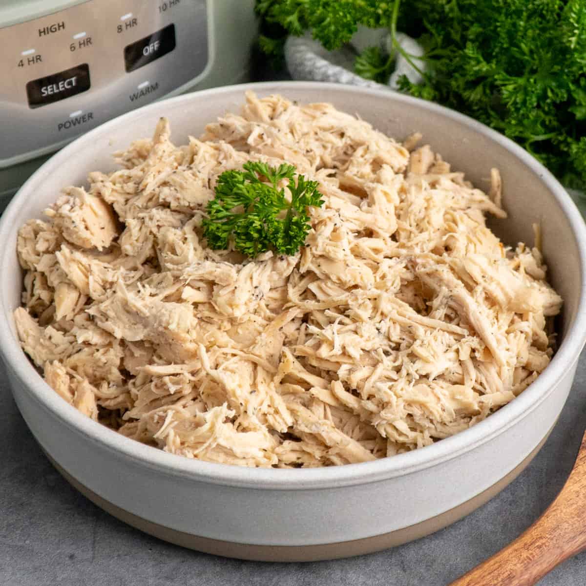 Shredded chicken in a white bowl garnished with parsley.