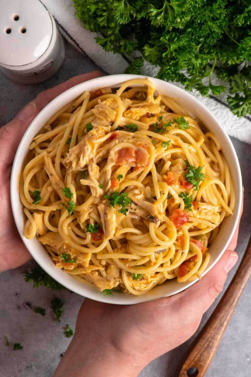 Crock Pot Chicken Spaghetti Recipe