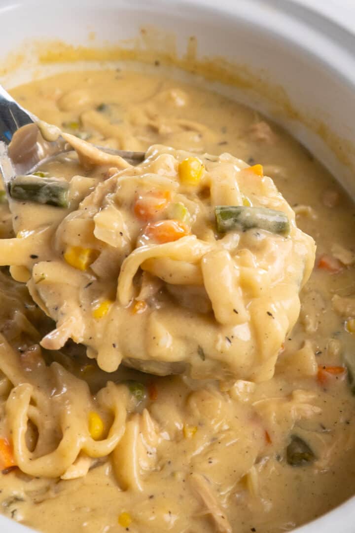 Crock Pot Chicken and Noodles - Slow Cooker Meals