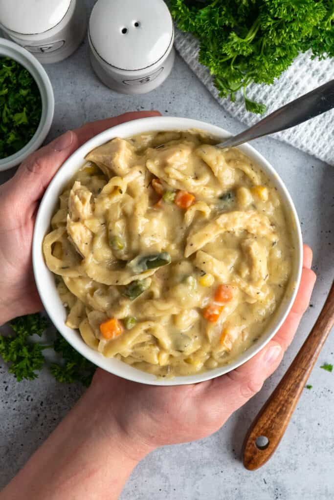 Crock Pot Chicken and Noodles - Slow Cooker Meals