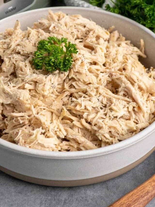 Crock Pot Shredded Chicken Recipe