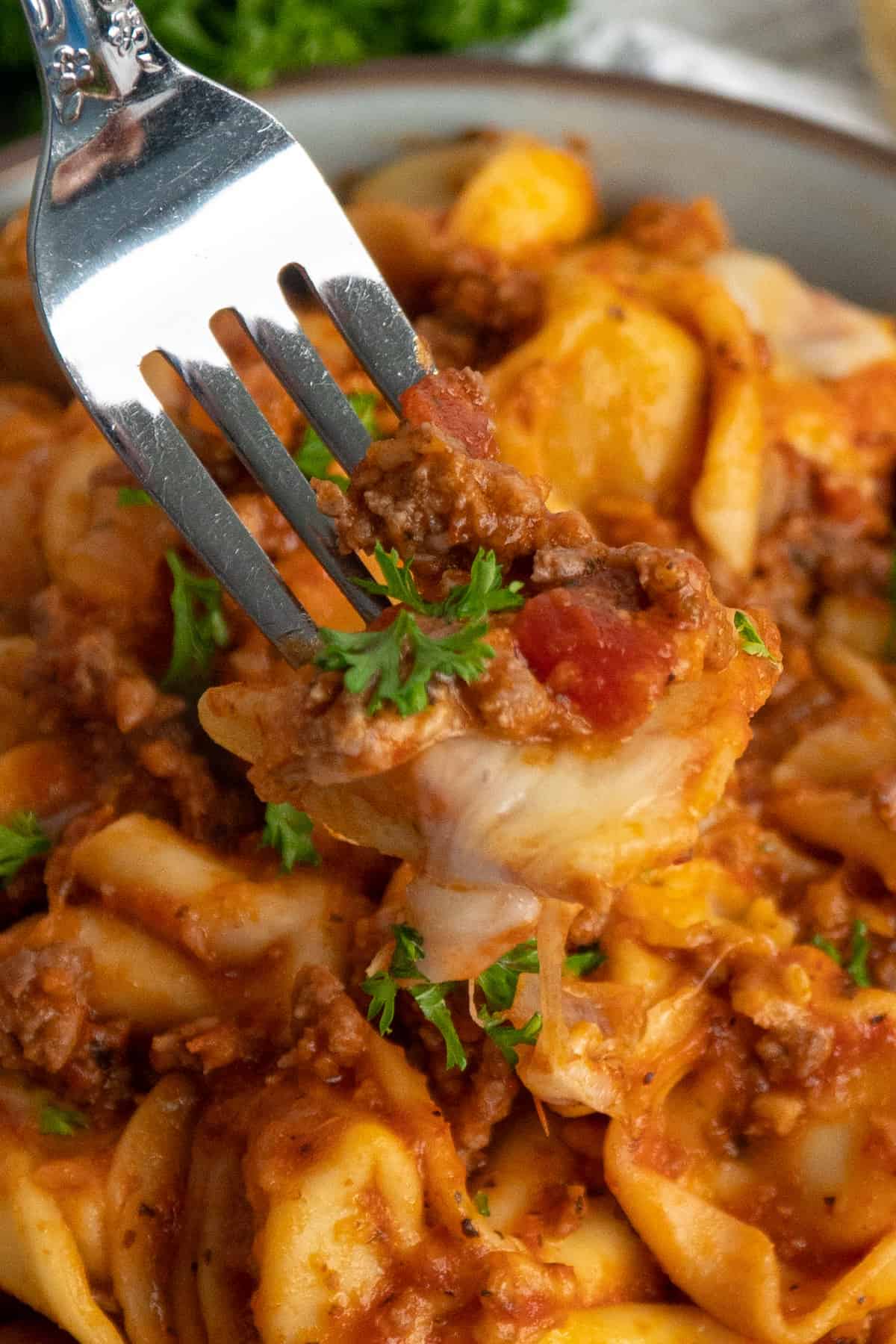 A fork holding a tortellini in a meat sauce.
