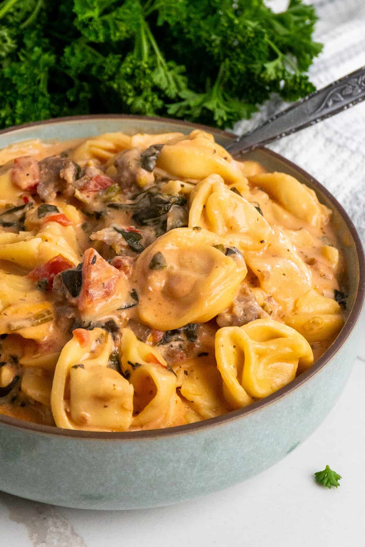 Close-up of a bowl of tortellini with sauce, sausage and tomatoes.