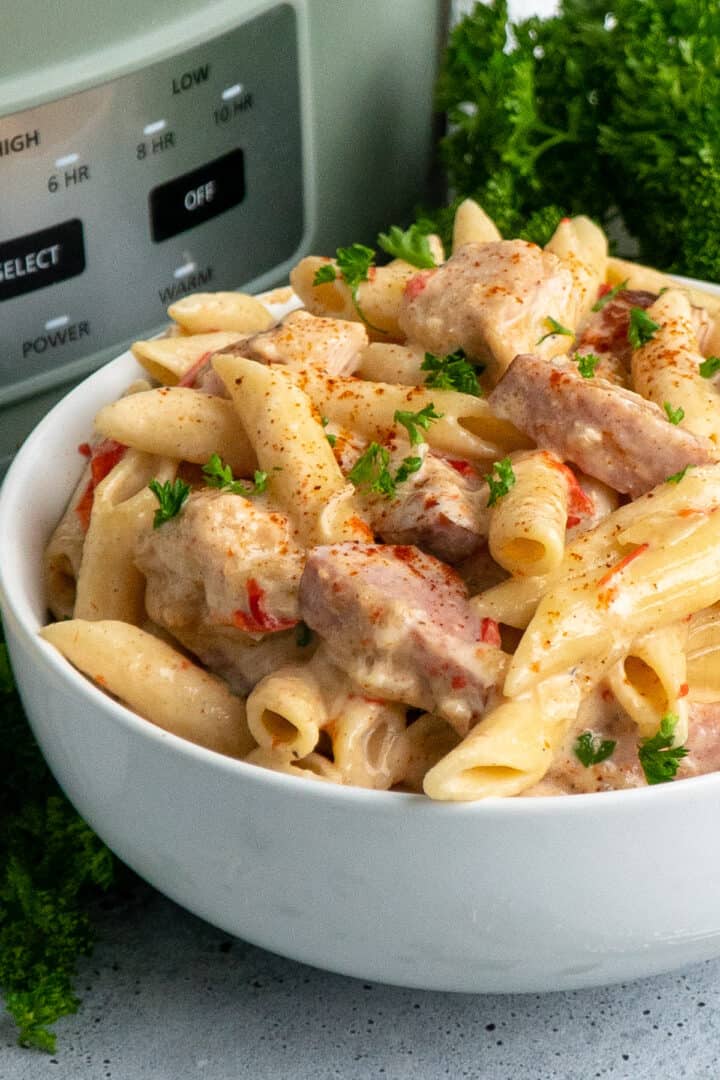 Crock Pot Cajun Chicken Pasta Slow Cooker Meals