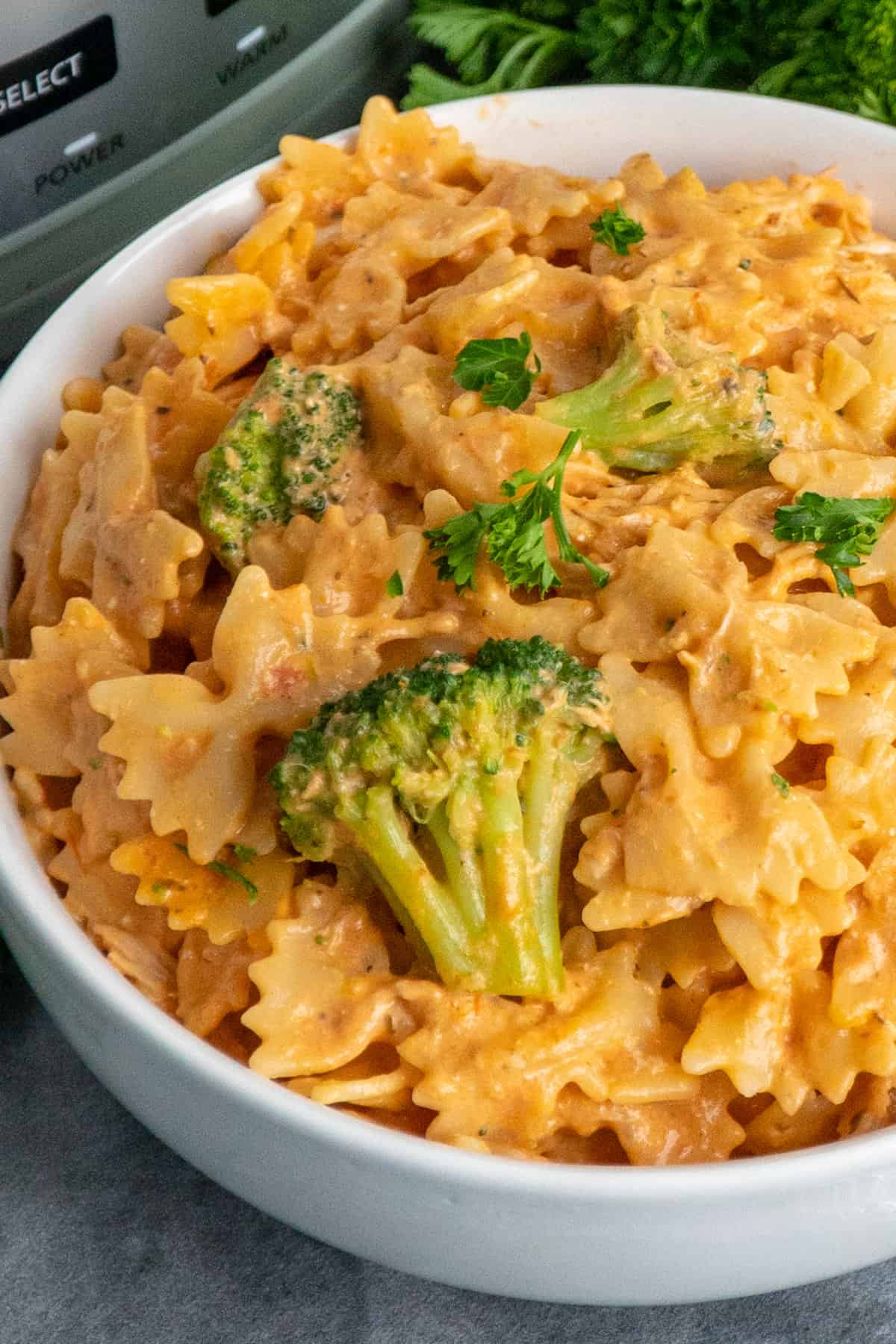 Close-up creamy chicken pasta in a white bowl.