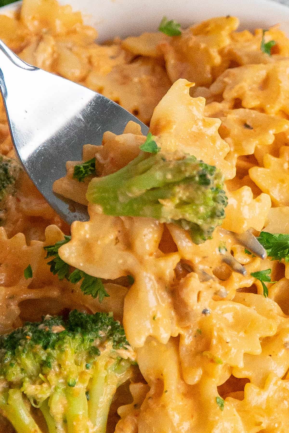A fork holding a bite of creamy chicken pasta.