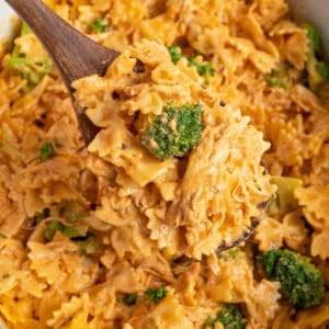 A wooden spoon holding crock pot creamy chicken pasta.