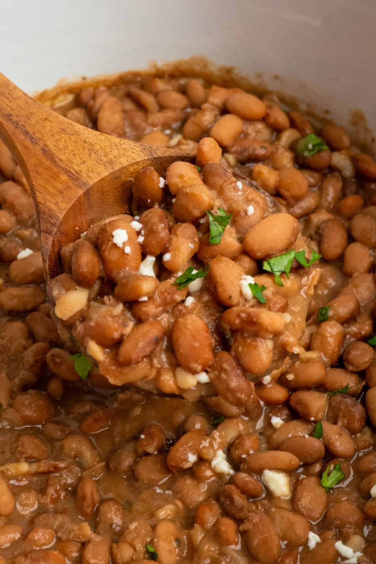 Close up of a wooden spoon scooping pinto beans.