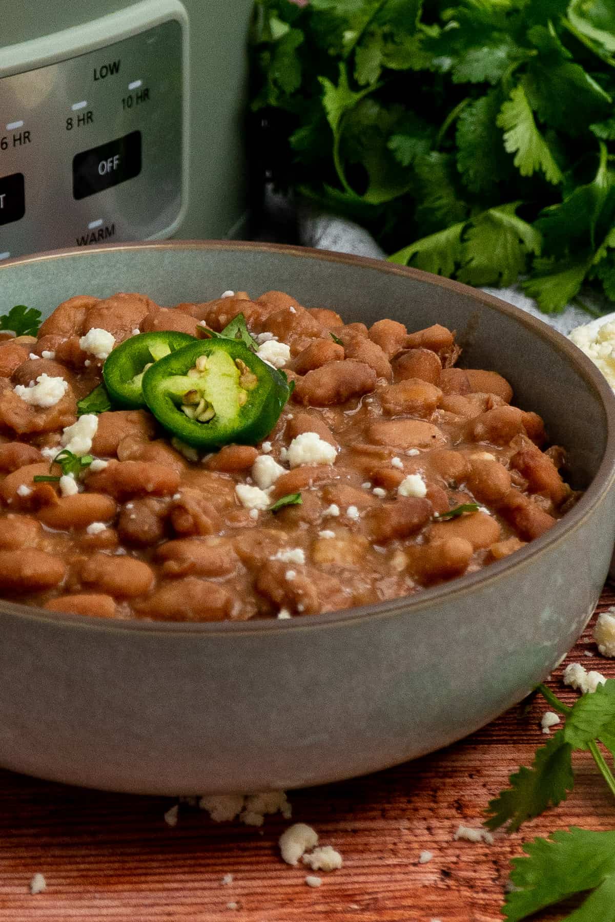 Pinto beans in a bowl with a slow cooker in the background.