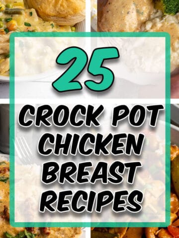 Twenty five of my best crock pot chicken breast recipes.