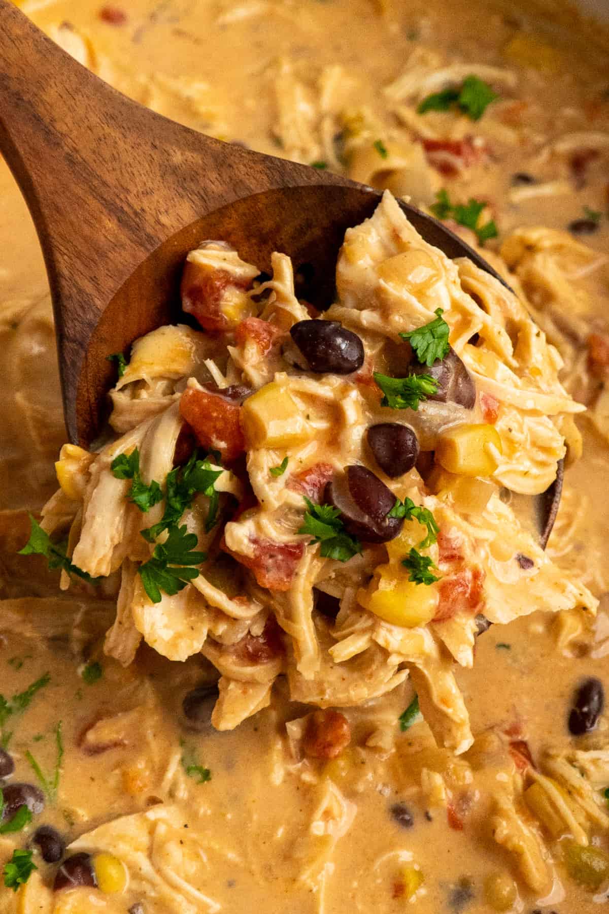 Close up of a wooden spoon holding a scoop of crock pot fiesta chicken.