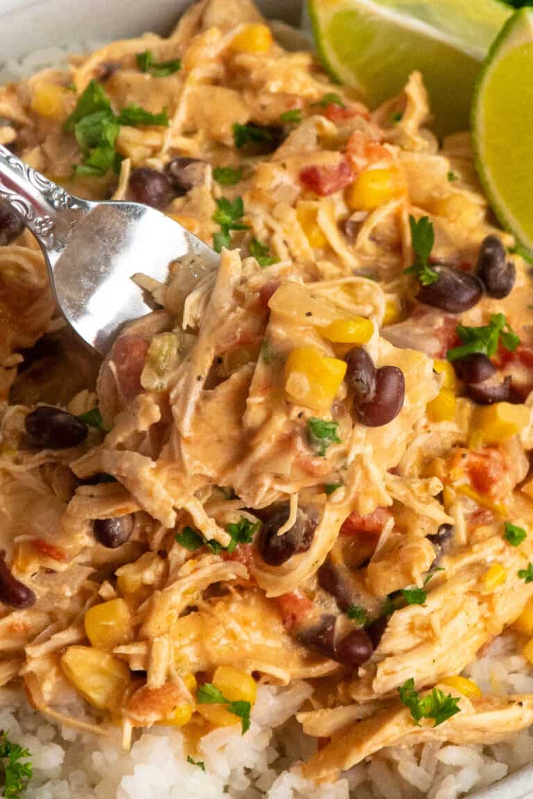 Crock Pot Fiesta Chicken Slow Cooker Meals