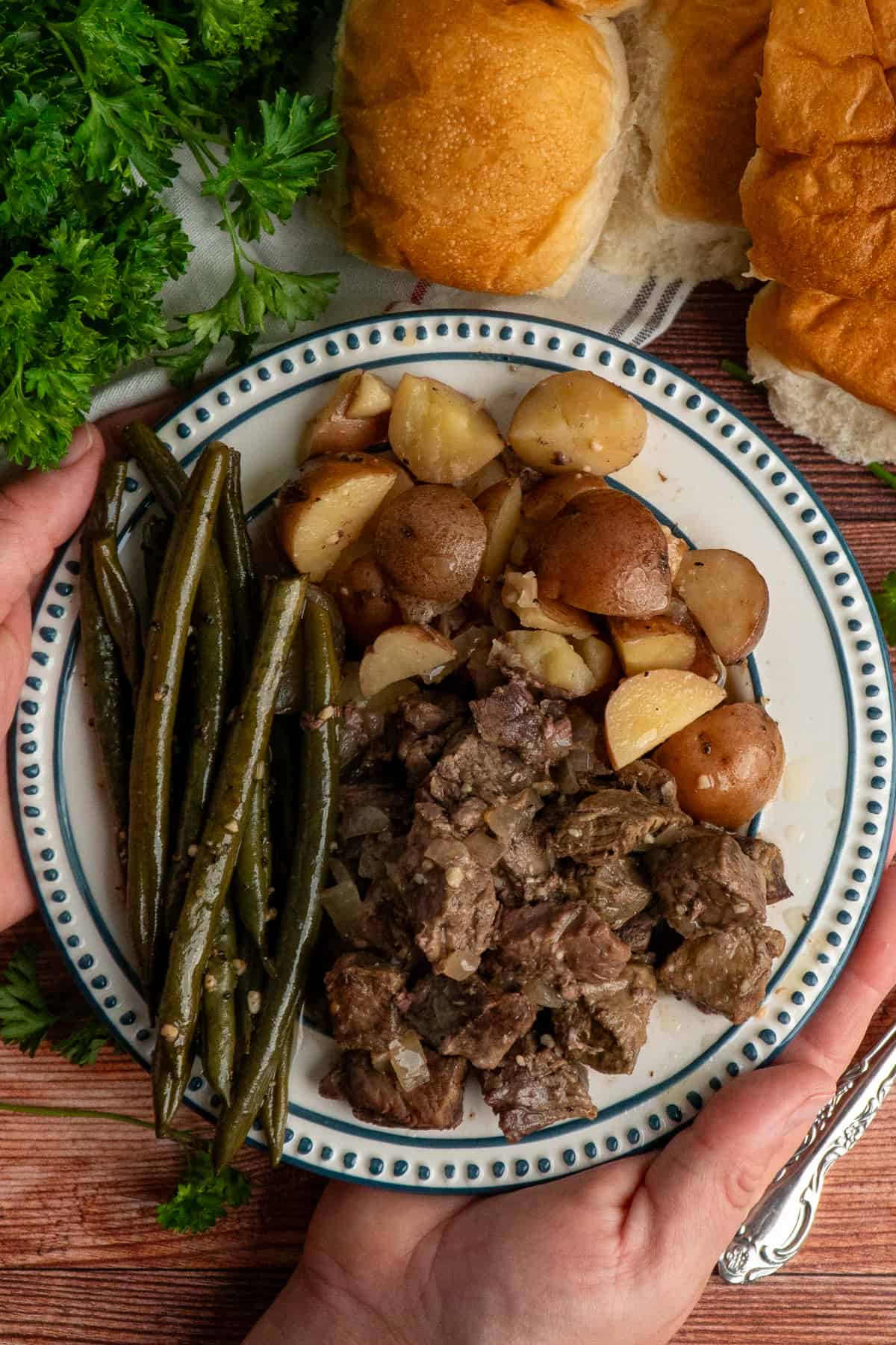 Hands holding a plate of crock pot steak and potatoes.