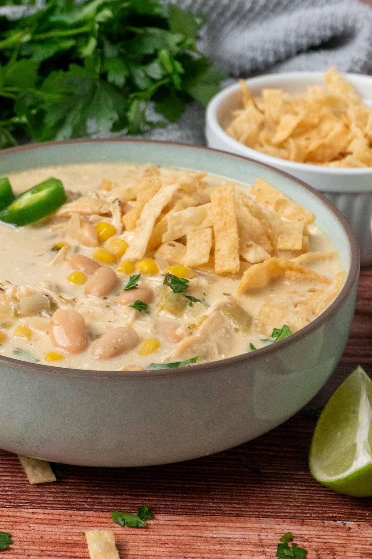 Close-up of a bowl of crock pot white chicken chili garnished with tortilla strips.