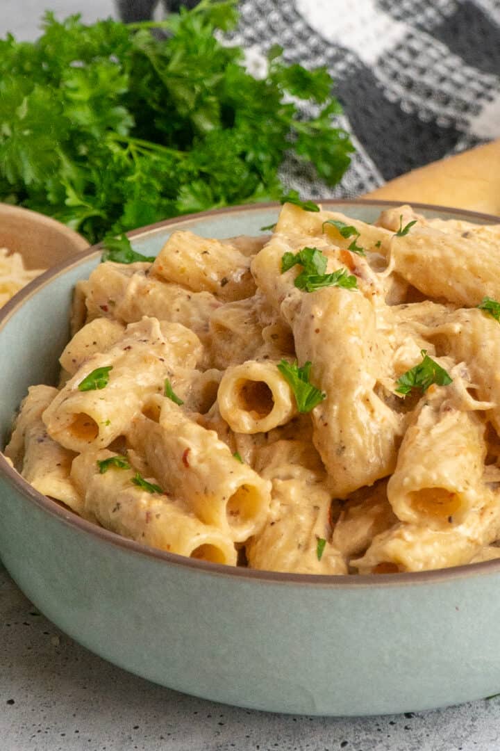 Crock Pot Garlic Parmesan Chicken Pasta Slow Cooker Meals