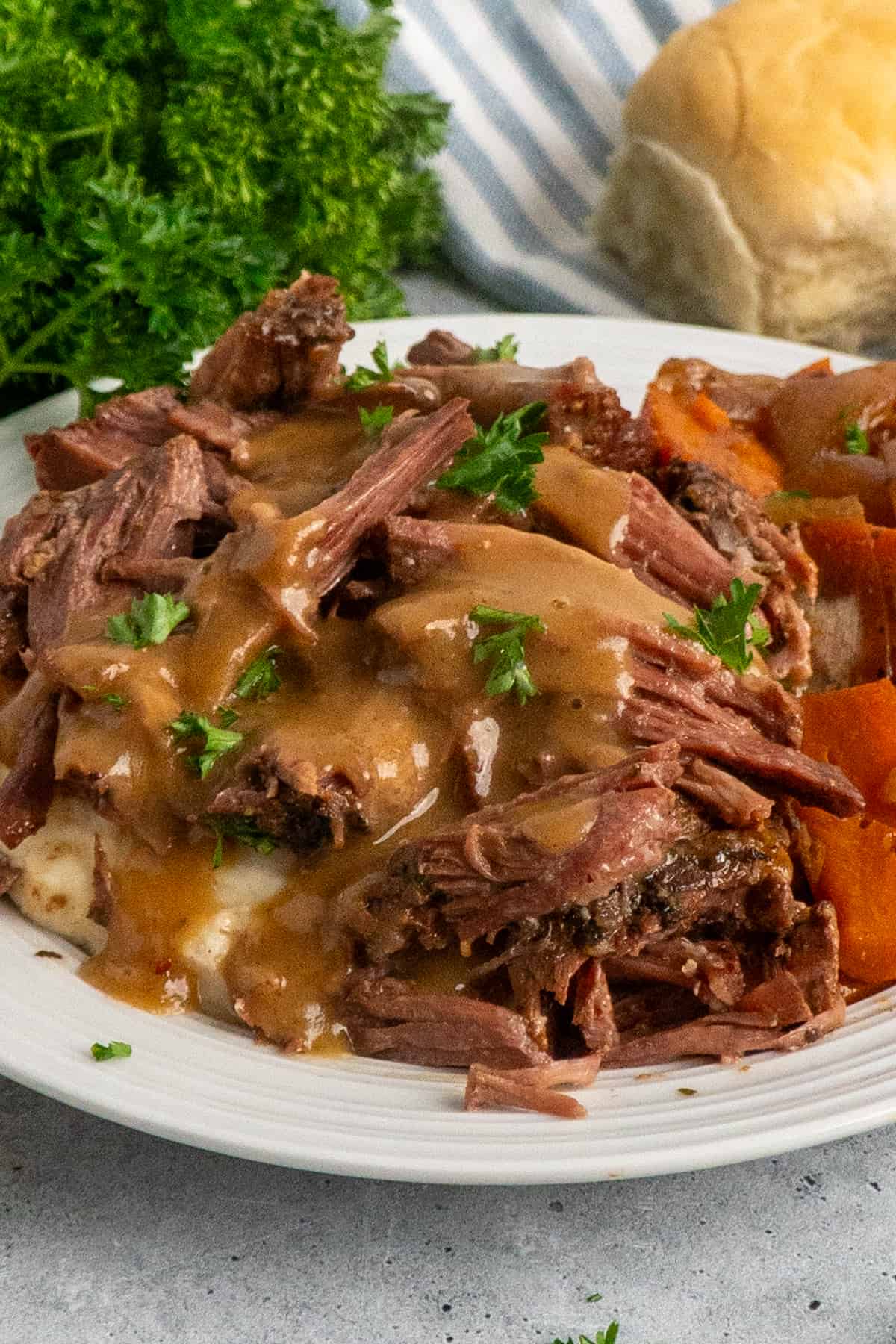 Sideview of a 3 packet pot roast on a plate of mashed potatoes.