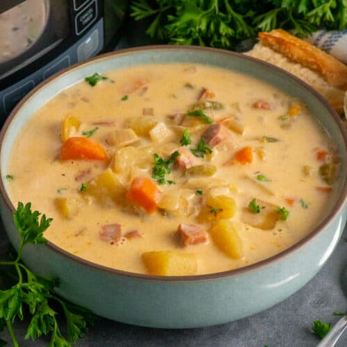 Slow Cooker Ham and Potato Soup - Slow Cooker Meals