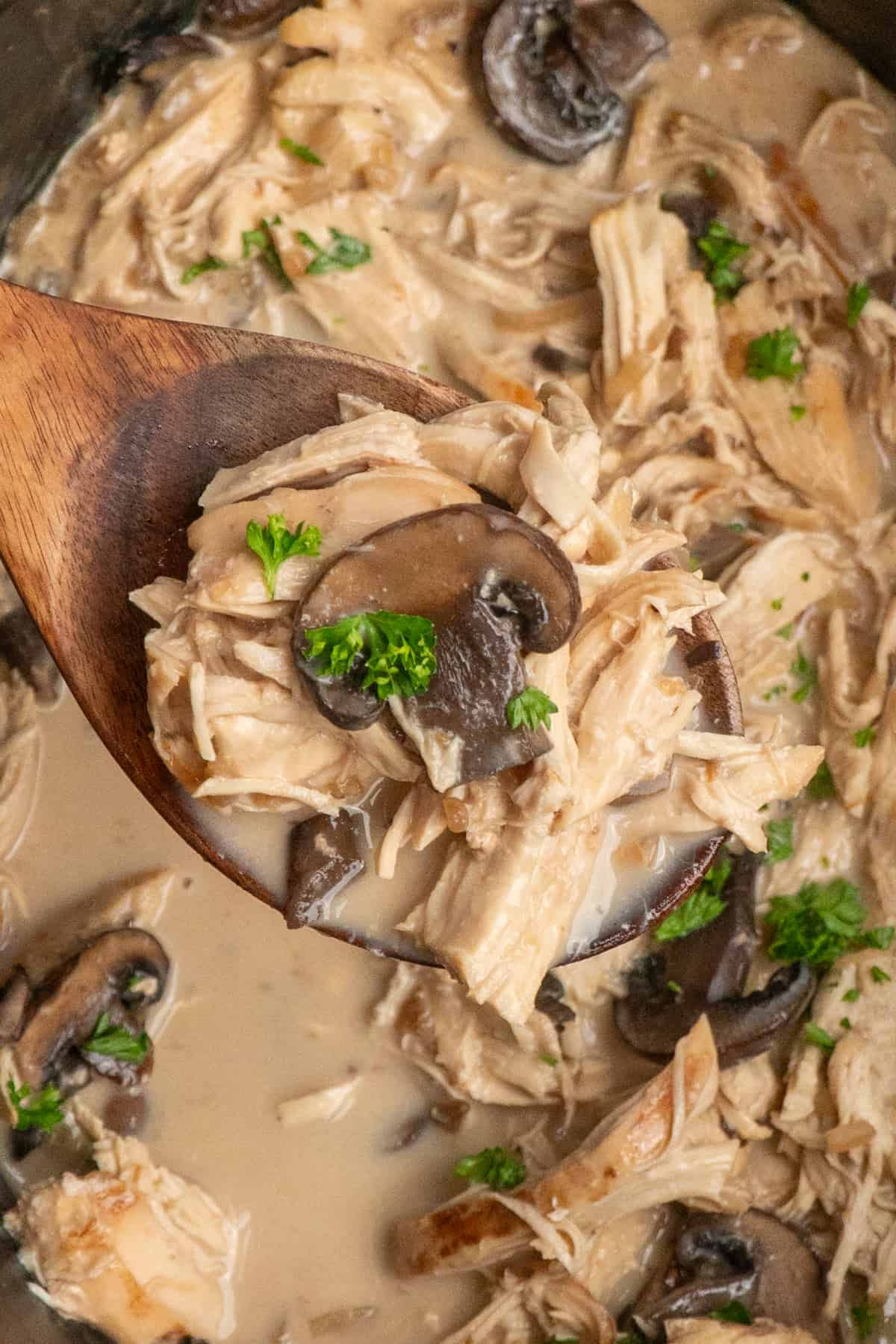A wooden spoon holding shredded chicken and sauce.
