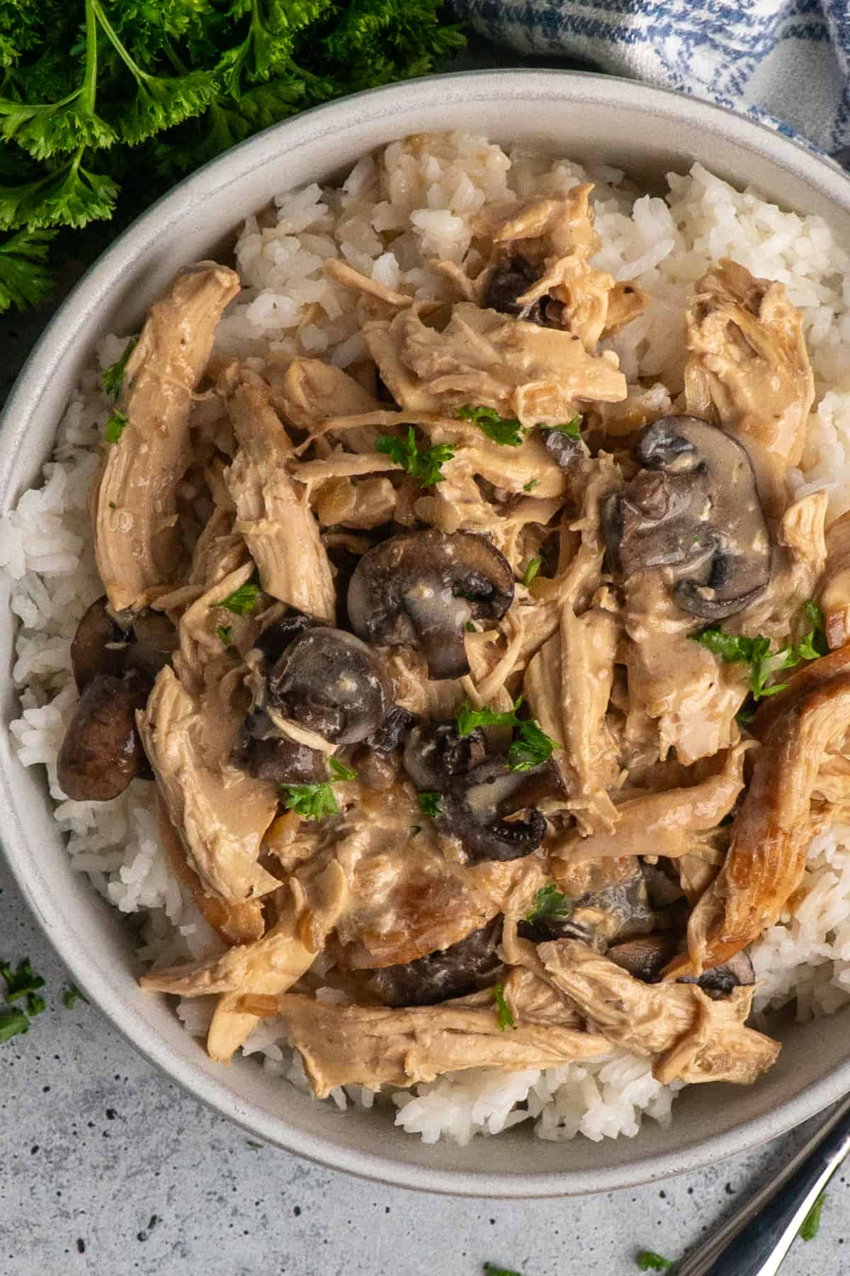 Overhead look at crock pot mushroom chicken over a bowl of rice.