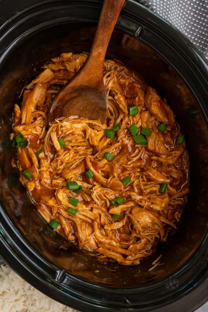 Slow Cooker Apricot Chicken - Slow Cooker Meals