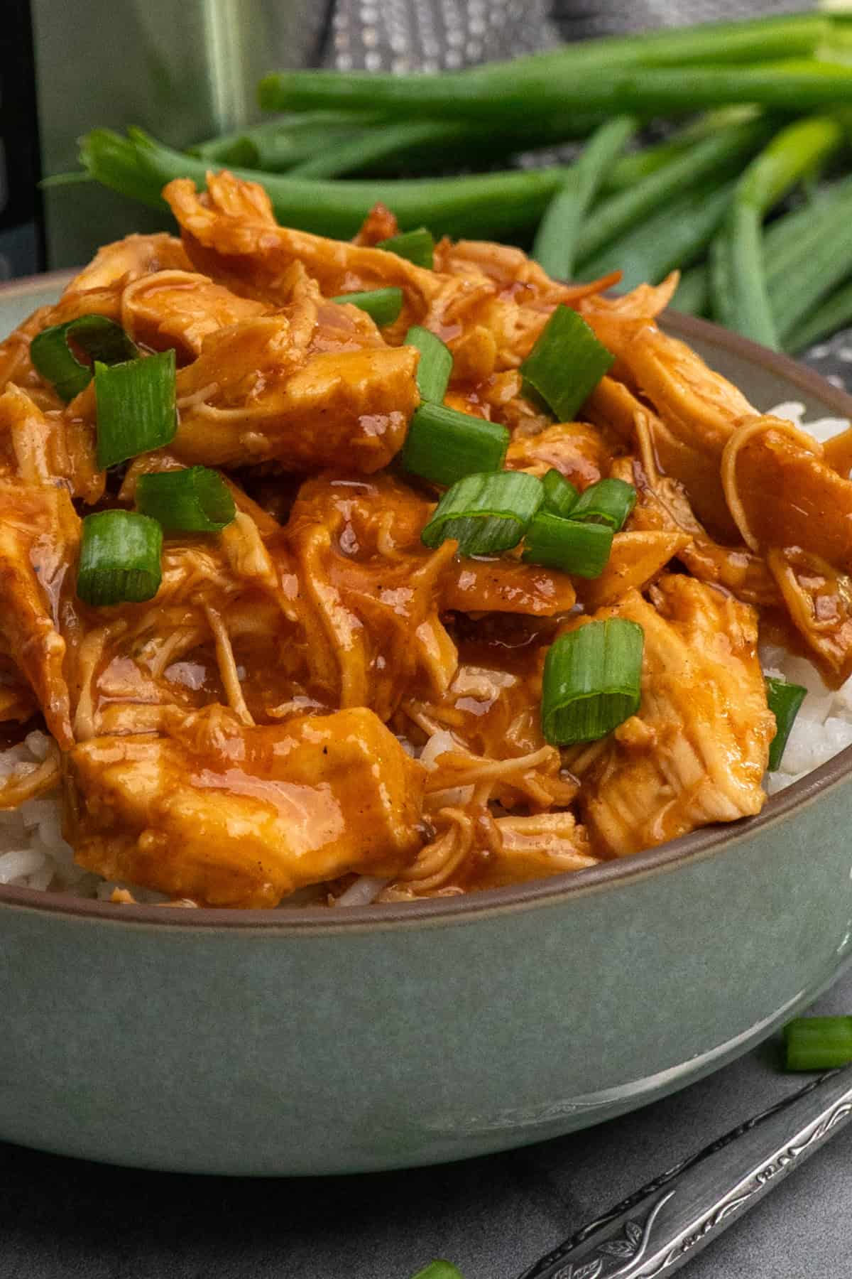 Apricot chicken over a bowl of rice garnished with green onions and a crock pot in the background.