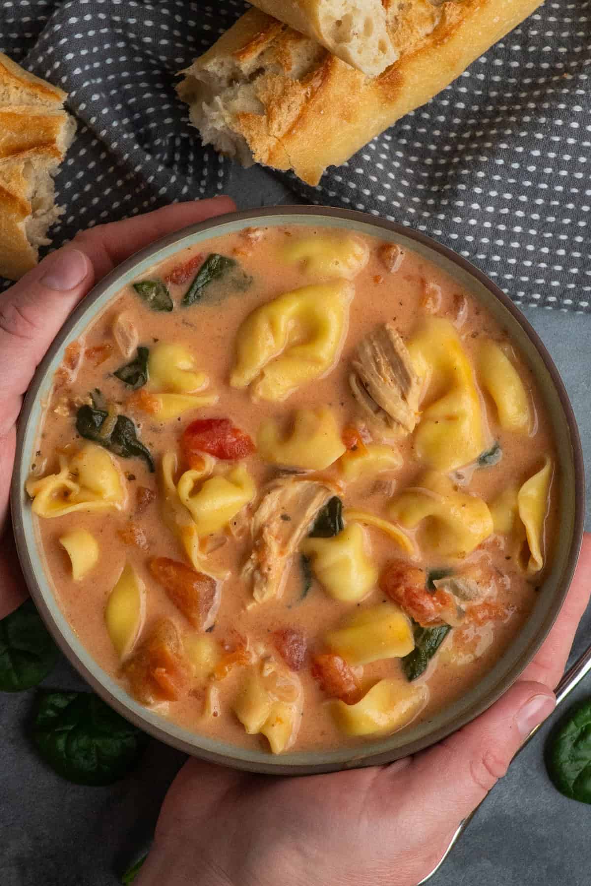 Hands holding a bowl of chicken tortellini soup.