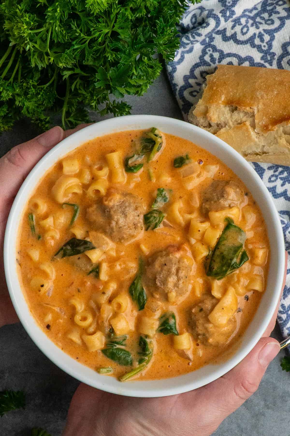 Hands holding a bowl of meatball soup.