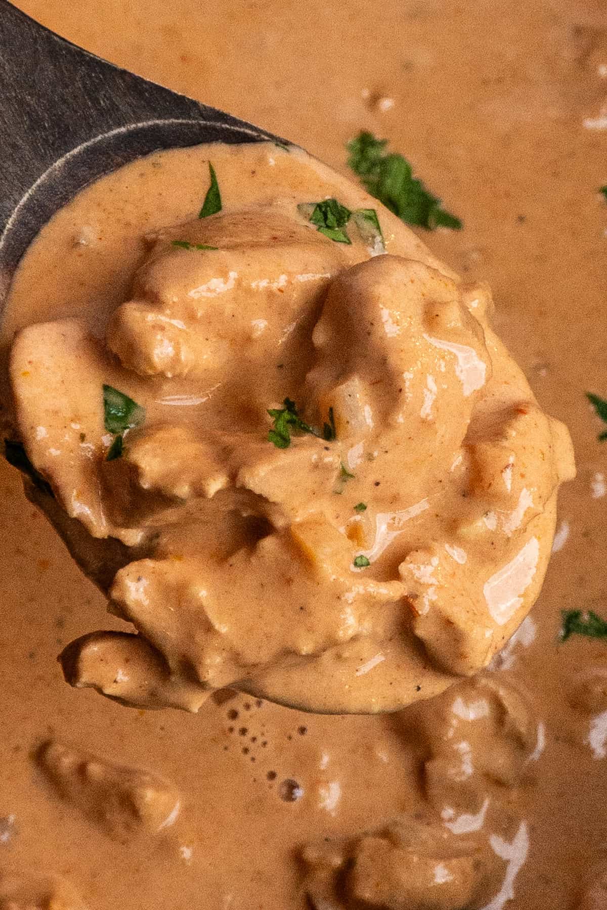 A wooden spoon holding a serving of tikka masala.