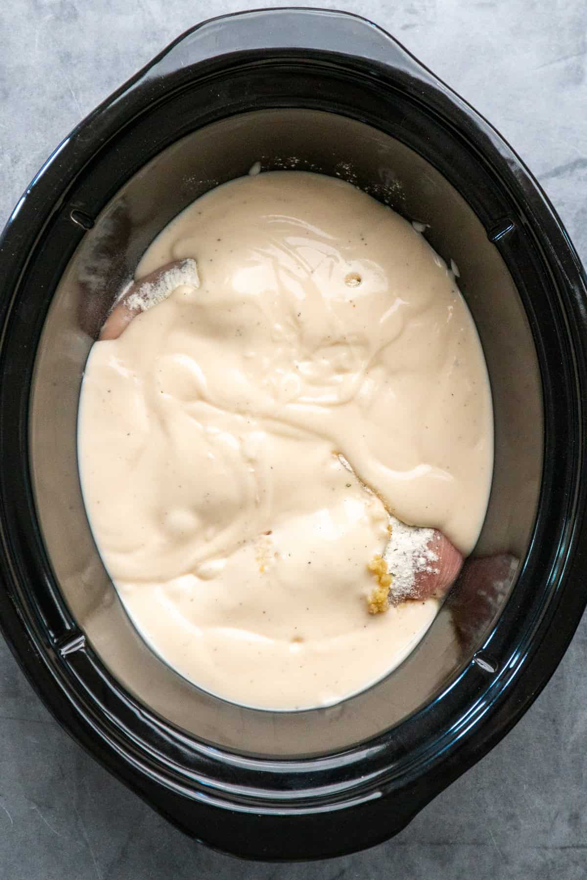 Chicken breast, ranch seasoning, garlic and alfredo sauce in a crock pot.