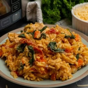 Marry me chicken orzo with a crock pot in the background.